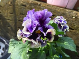 20161114171030.jpg