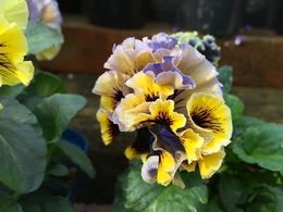 20161114172040.jpg