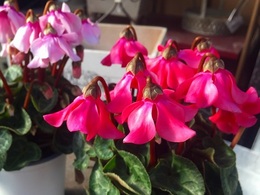 20161129170510.jpg