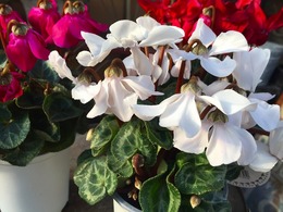 20161129171015.jpg
