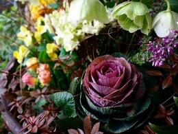 20141203_141543.jpg