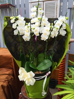 20160806144540.jpg