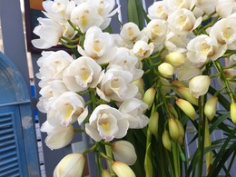 20161208181323.jpg
