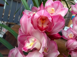 20161208182030.jpg