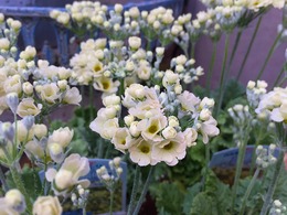 20170125172205.jpg