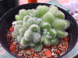20170208141314.jpg