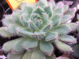 20170208141516.jpg