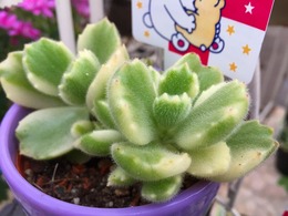 20170208141920.jpg