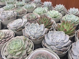 20170209165510.jpg