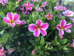 20170315113005.JPG