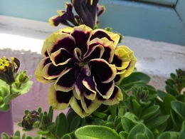 20170518180005.jpg