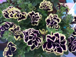 20170625134015.jpg