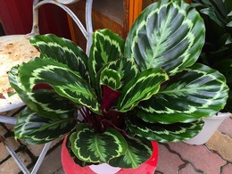 20170703160005.jpg