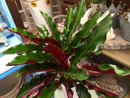 20170703161010.jpg