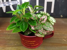 20170718172055.jpg