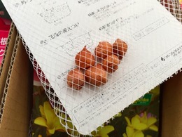 20170819165010.jpg
