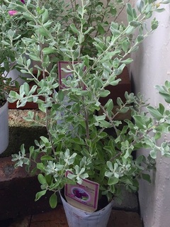 20170824173010.jpg