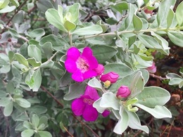 20170824174020.jpg