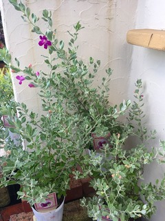 20170824174525.jpg