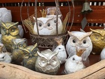 【雑貨】秋の入荷始まりました~2017~