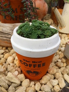 20171012153538.jpg