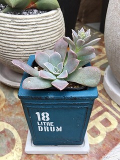 20171012154547.jpg
