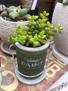 20171012155052.jpg