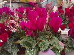 20171022092030.jpg