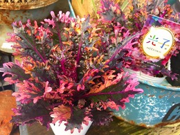 20171130142510.jpg
