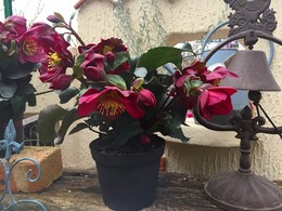 20180117110005.jpg