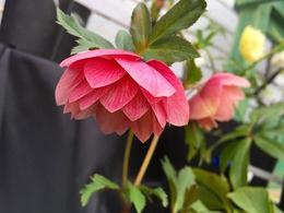 20180131143540.jpg
