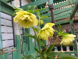 20180131144045.jpg