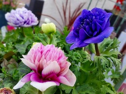 20180109_102414.jpg