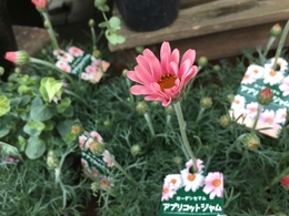 20180215170005.jpg