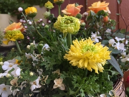 20180219174550.jpg