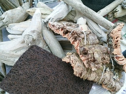 20180308091045.jpg