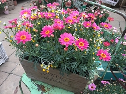 20180308151520.jpg