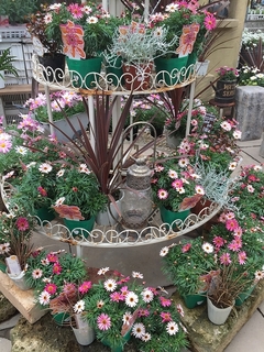 20180308153540.jpg