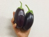 『ナスがママ』