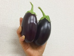 nasugamama20180301.jpg