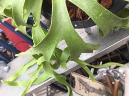 20180412090510.jpg