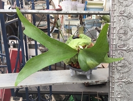 20180412091015.jpg