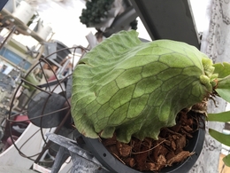 20180412091520.jpg