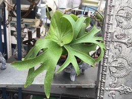 20180412092030.jpg