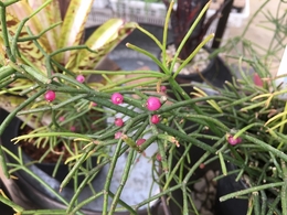 20180412093545.jpg