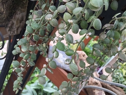 20180412100010.jpg