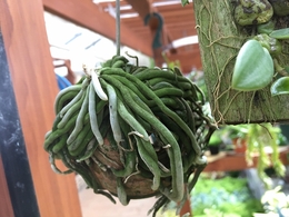 20180412103020.jpg