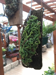 20180412103223.jpg