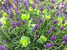 20180425131525.jpg