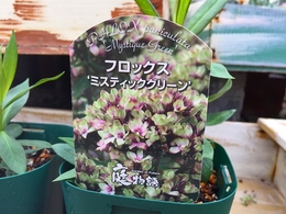 20180425170510.jpg